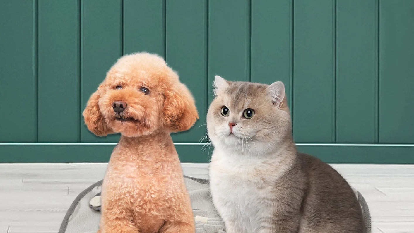 Dog Snuffle Mat - Interactive Anti-Stress Toy