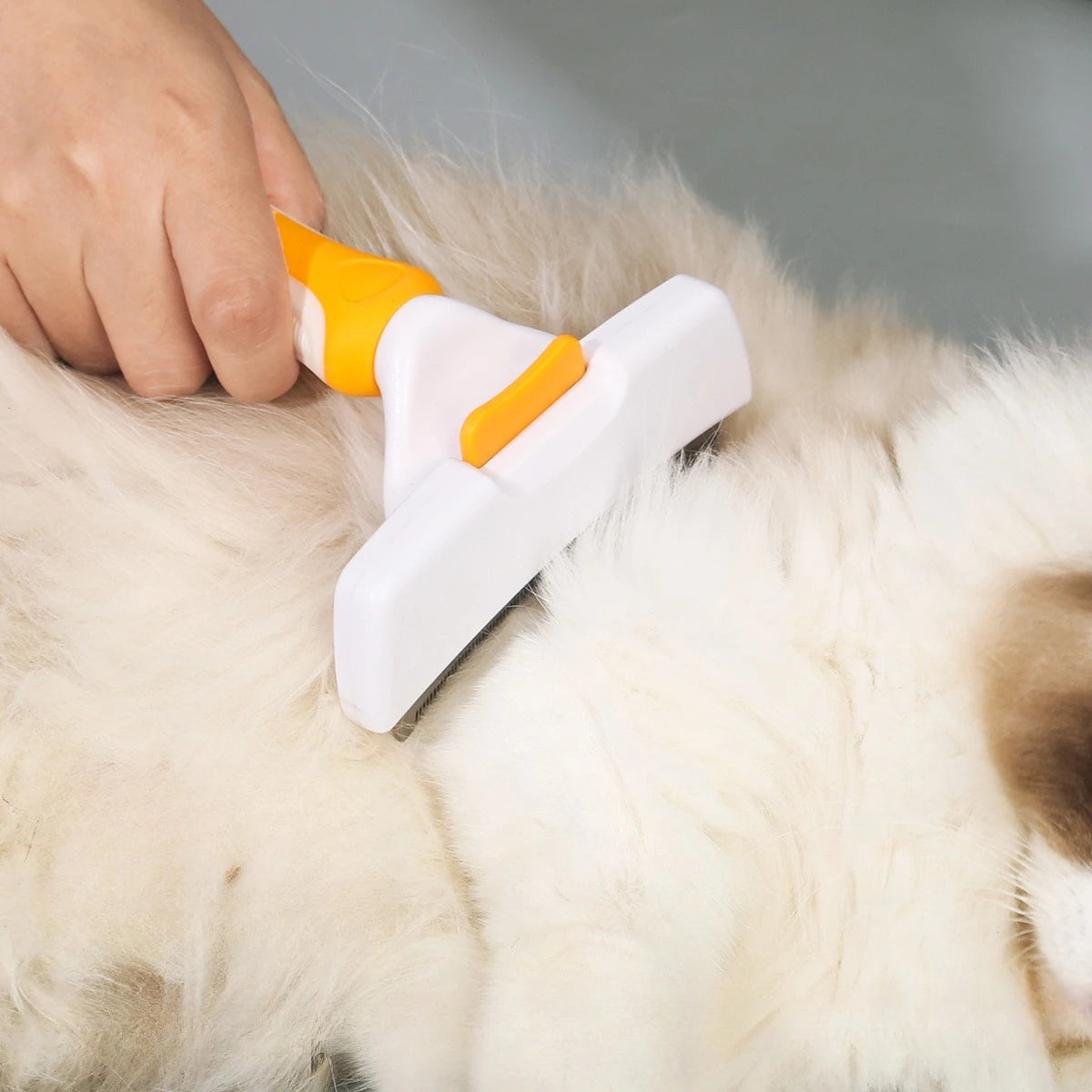 Dog Cat Brush - Detangling Anti-Knot Short Hair